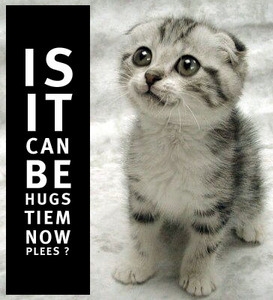 Hugs Tiem Hugs Tiem
