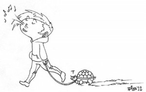 Walking a Turtle