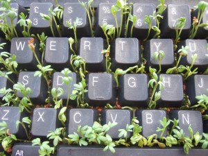 "Keyboard and Cress" from wetwebwork on Flickr. This photos is Creative Commons licensed.