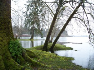 Lake Quinault